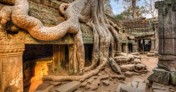 VISITES ANGKOR TA PHROM